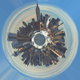 Image for article titled Shooting Challenge Polar Panoramas Gallery